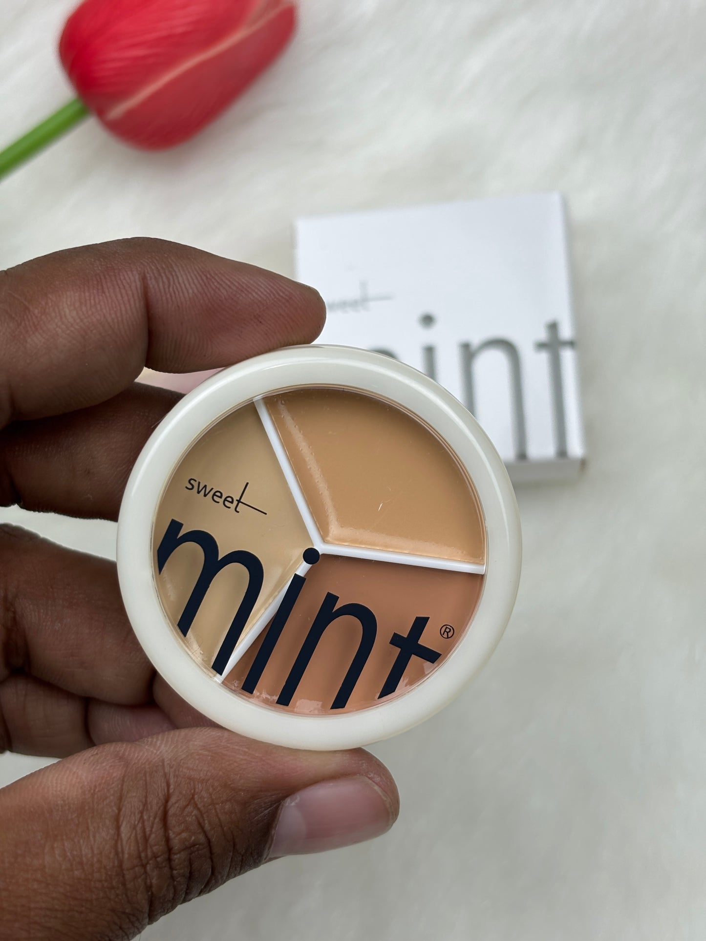 Sweet Mint 3 Color Concealer Palette Cream Base – 9g